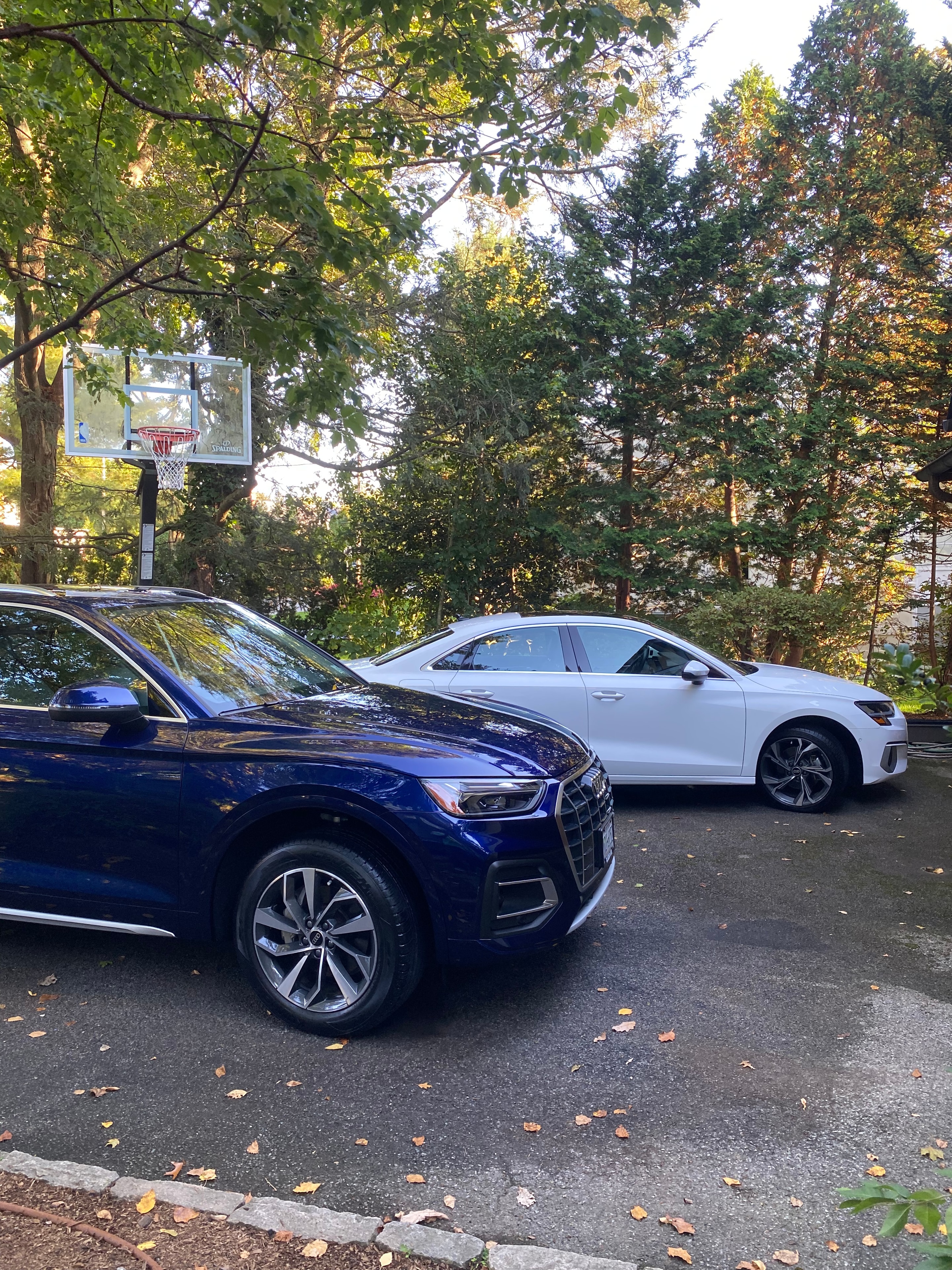 White and dark blue cars parked on a tree-lined street