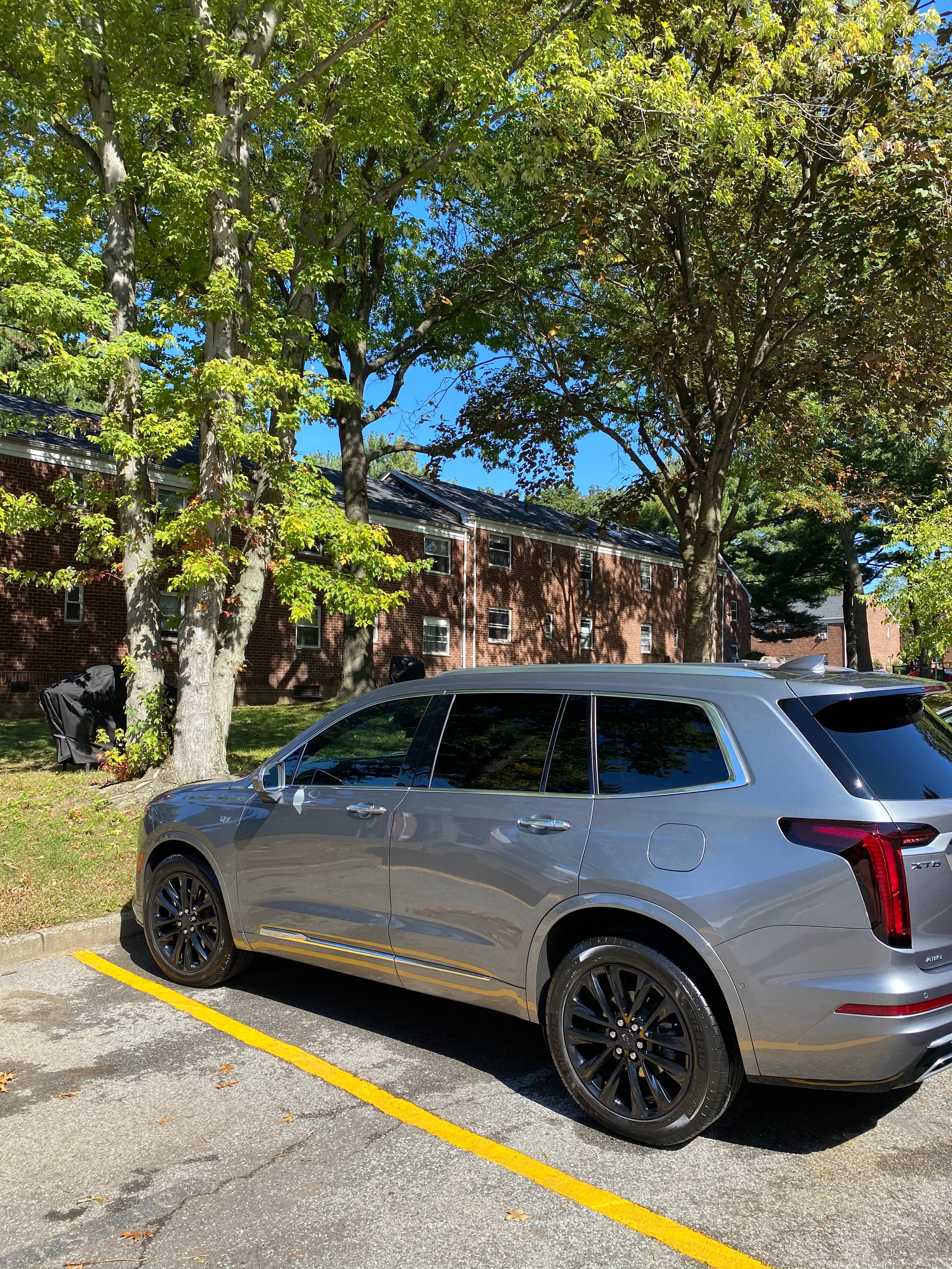 Silver Cadillac SUV after mobile detail service